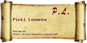 Pinti Levente névjegykártya